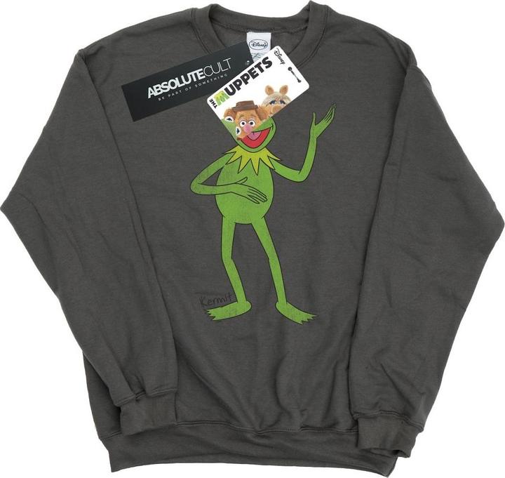 Gildan Classic Sweatshirt (XL)