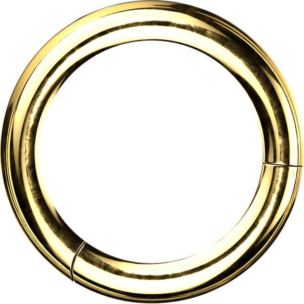 Image du produit Star Piercing Anneau segment pliable doré (Titane G23)