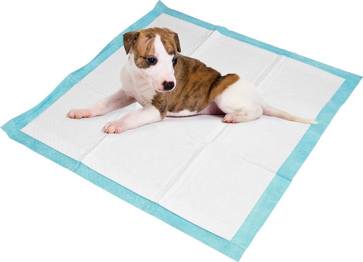 Produktbild Dogs Collection Trainingspads 180 x für Hunde, Welpenunterlage, 5-lagig, auslaufsicher, 60 x 60 cm (Hund)