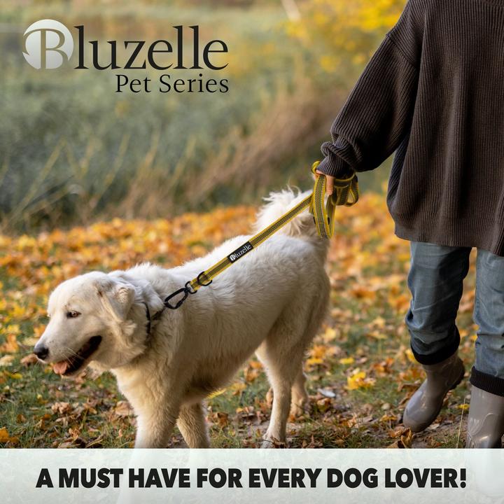 Productafbeelding Bluzelle Hondenriem 3m, dubbele riem met karabijnhaak, verstelbaar (XL, Hond, Loop)