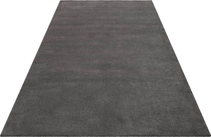 Actual product image Esprit Greenwood Rug (90 x 160 cm)