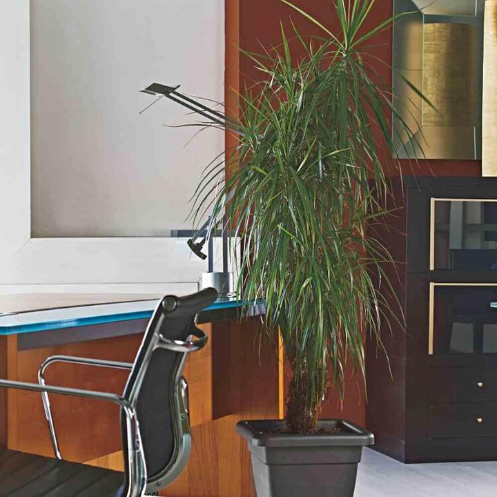 Actual product image Euro3plast Planter (25 cm)