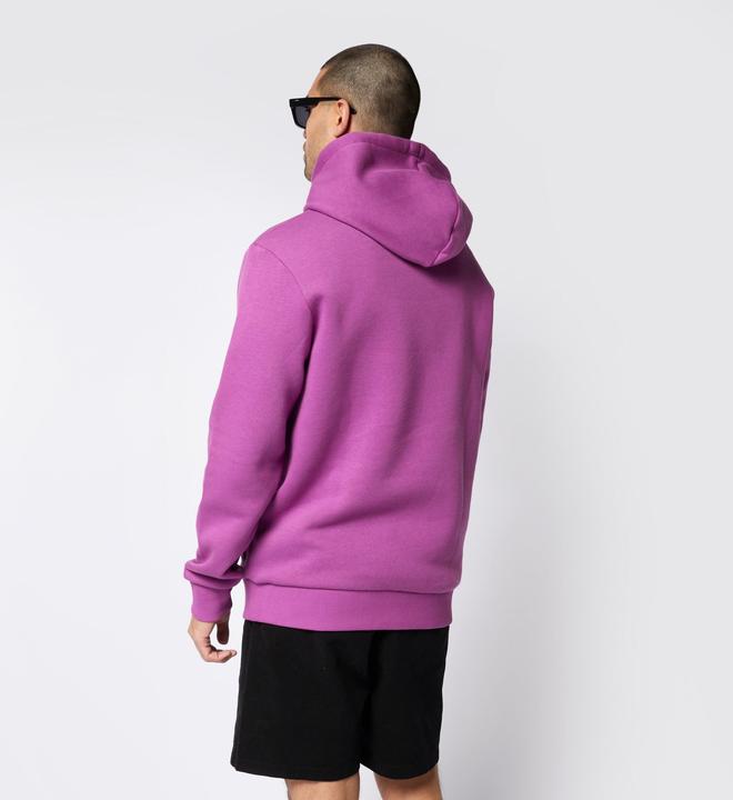 Actual product image Mystic Icon Hood Sweat (S)