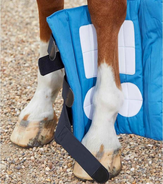 Produktbild Premier Equine Stall- Ruhegamaschen Magni-Teque Boot Wraps