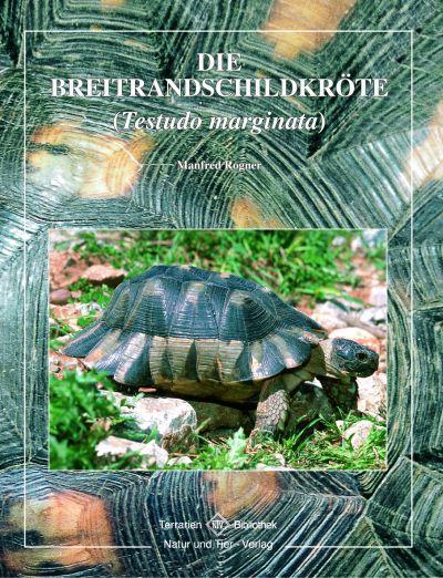 Breitrandschildkröte (Deutsch, Manfred Rogner, 2007)