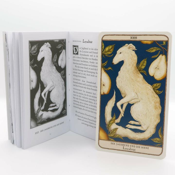 Image du produit Woodland Wardens: 52 Orakelkarten mit Booklet (Allemand, Jessica Roux, 2023)
