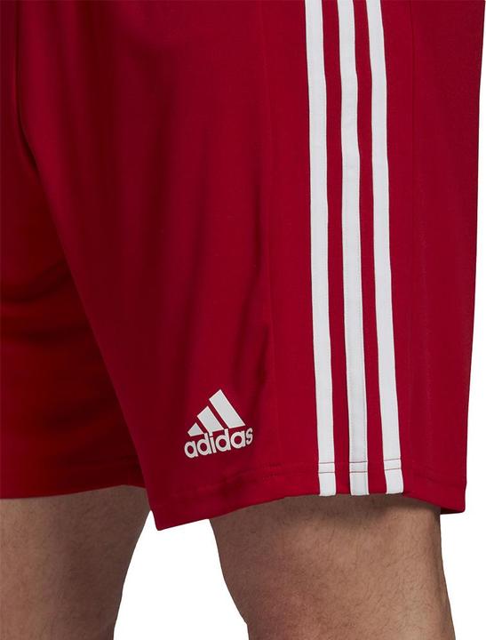 Image du produit adidas Squadra 21 Short (48, 49, 50)