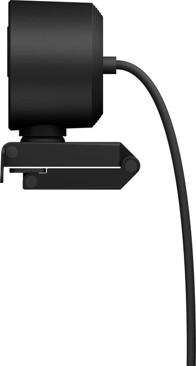 Immagine prodotto Icy Box Webcam Full-HD IcyBox IB-CAM502-HD con telecomando al dettaglio (2.10 Mpx)
