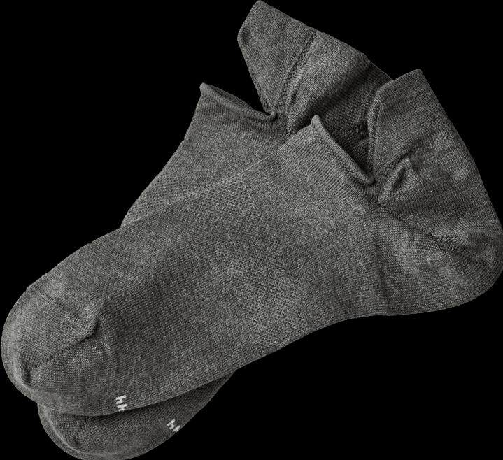 366 gris