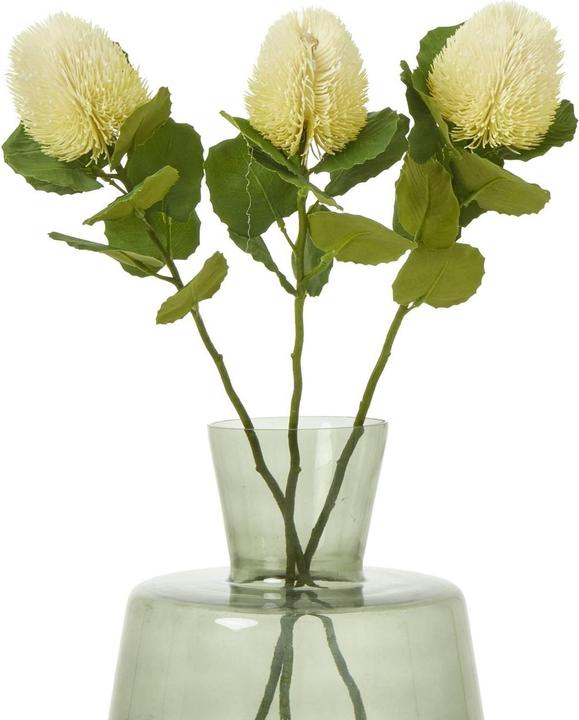 Cream colour