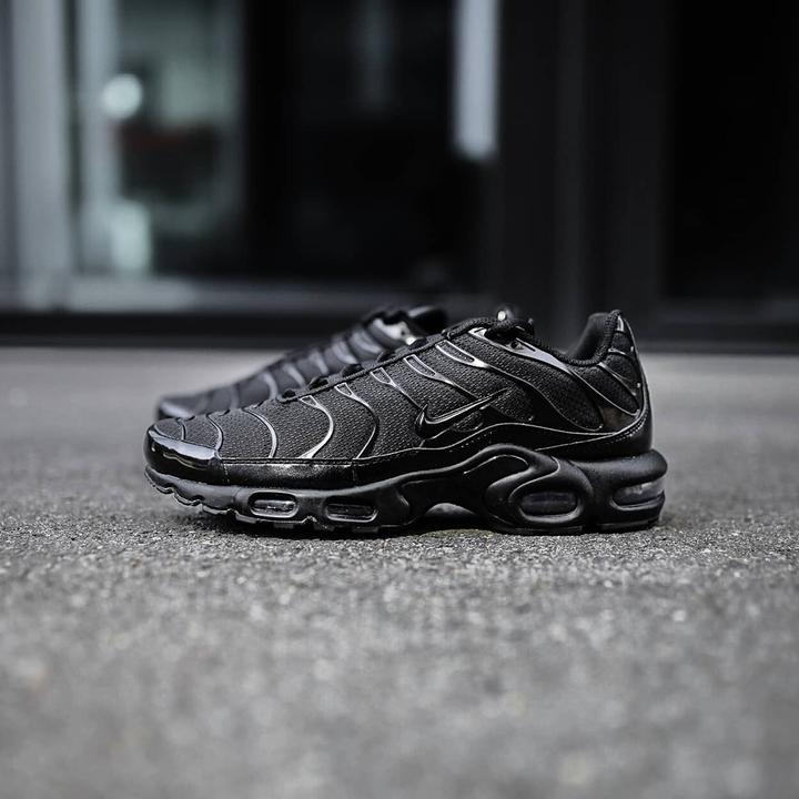 Image du produit Nike Air Max Plus (47.5)