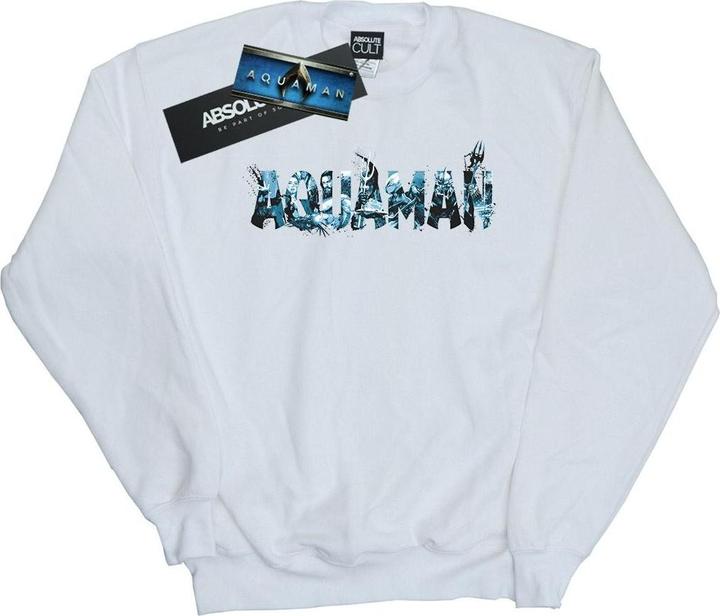 Immagine prodotto Aquaman Text Logo Felpa Donna (L)