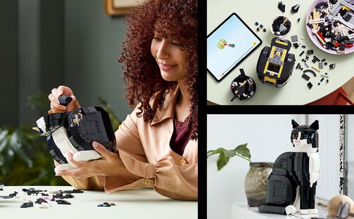 Productafbeelding LEGO Vertrouwelijk (21349, LEGO Ideeën, LEGO Zeldzame Sets)