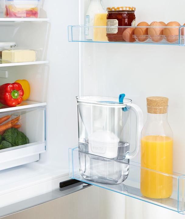 Actual product image Brita Style