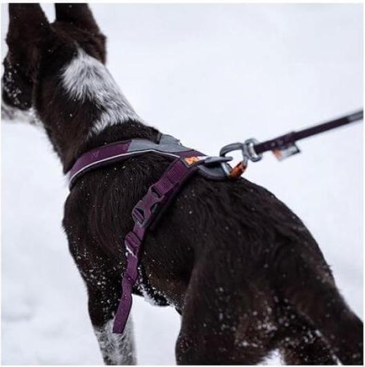 Image du produit Non-Stop Dogwear Harnais de ligne 5.0 bleu 3 (3, Chien, Vélo, Général, Promenade, Sport canin, Travail)