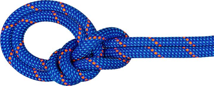 Immagine prodotto Mammut 9.5 Crag Dry Climbing Rope (80 m)