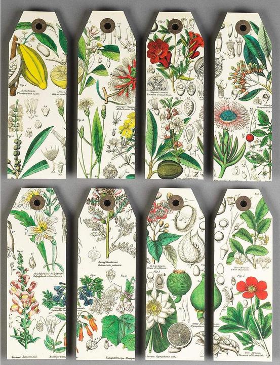 Image du produit Papier à motif (571 g/m², 1 x)