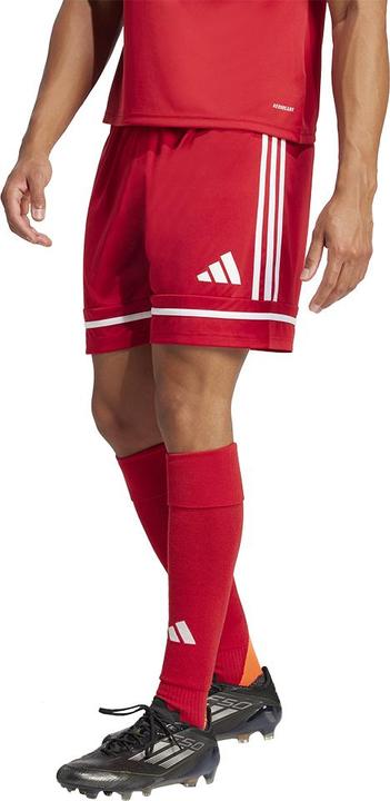 Actual product image adidas Squadra 25 Short (XL)