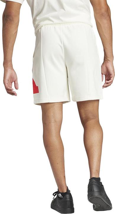Image du produit adidas Future Icons Lot de shorts de sport (S)
