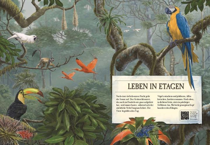 Immagine prodotto Verborgene Welt des Regenwaldes (Tedesco, Kristina Scharmacher scrittrice, Ferruccio Cucchiarini, 2020)