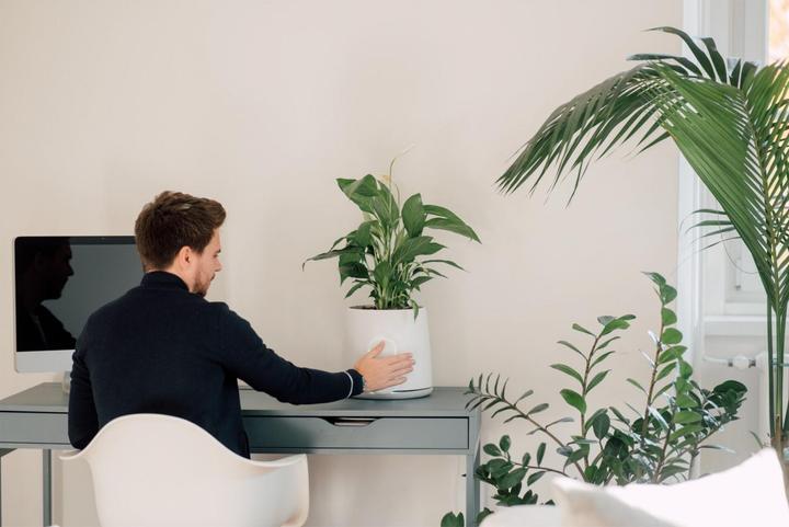 Actual product image Vitesy Natede Smart (20 m²)