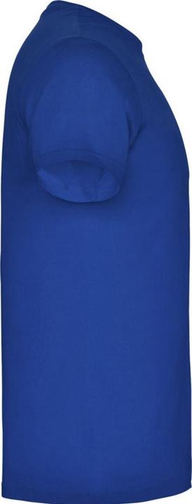 Actual product image Alpinia Mens Beagle Short-Sleeved T-Shirt (XXL)