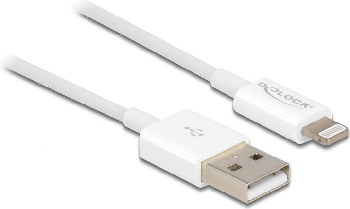 Image du produit Delock Câble de chargement USB pour iPhone 15 cm Blanc (0.15 m, USB 2.0)