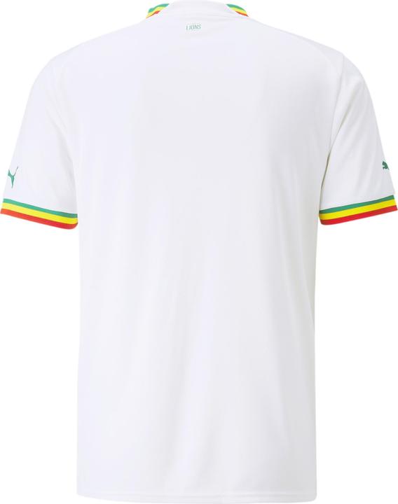 Actual product image Puma FSF Home Jersey Replica (XL)