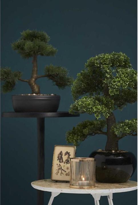 Immagine prodotto Emerald Pianta artificiale (6.50 cm)