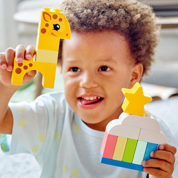 Produktbild LEGO Kreativer Bauspass (10978)