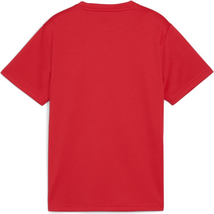Actual product image Puma teamGOAL Jersey Jr (140)