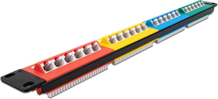 Actual product image Delock Patchpanel 19 24 Port Cat.5e, 1U, colored
