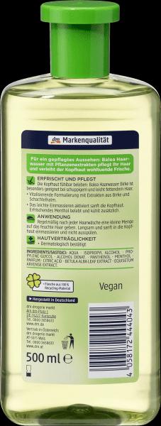 Actual product image dm Balea Birch (500 ml)