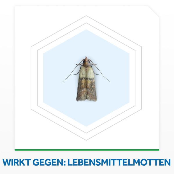 Produktbild Raid Essentials Lebensmittel-Mottenfalle zur Befallskontrolle