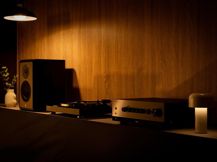 Actual product image Yamaha TT-S 303 (Manual)