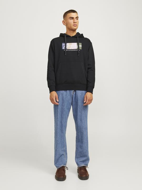 Produktbild Jack & Jones Jorportland Block Sweat Hood Ln (S)
