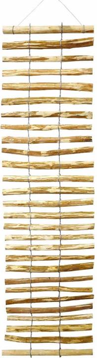 Image du produit Dobar Rankgitter (50 cm, 1.50 cm)