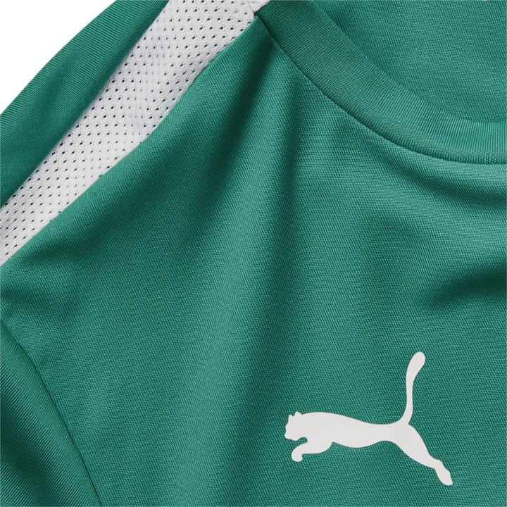 Produktbild Puma teamLIGA Jersey Jr-704925 (176)
