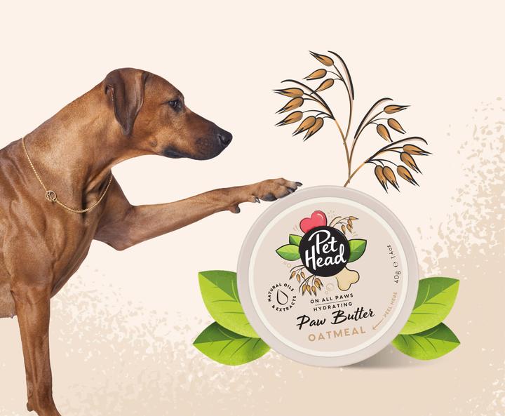 Actual product image Pet Head Paw Butter (Dog, 40 ml)