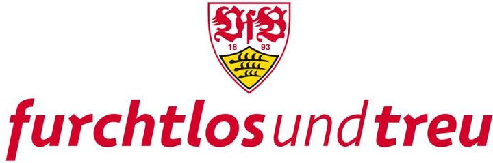 Image du produit VfB Stuttgart intrépide et fidèle (140 x 46 cm)