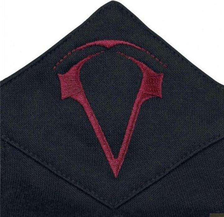 Actual product image Assassins Creed IV Black Flag Hoodie Logo (L)