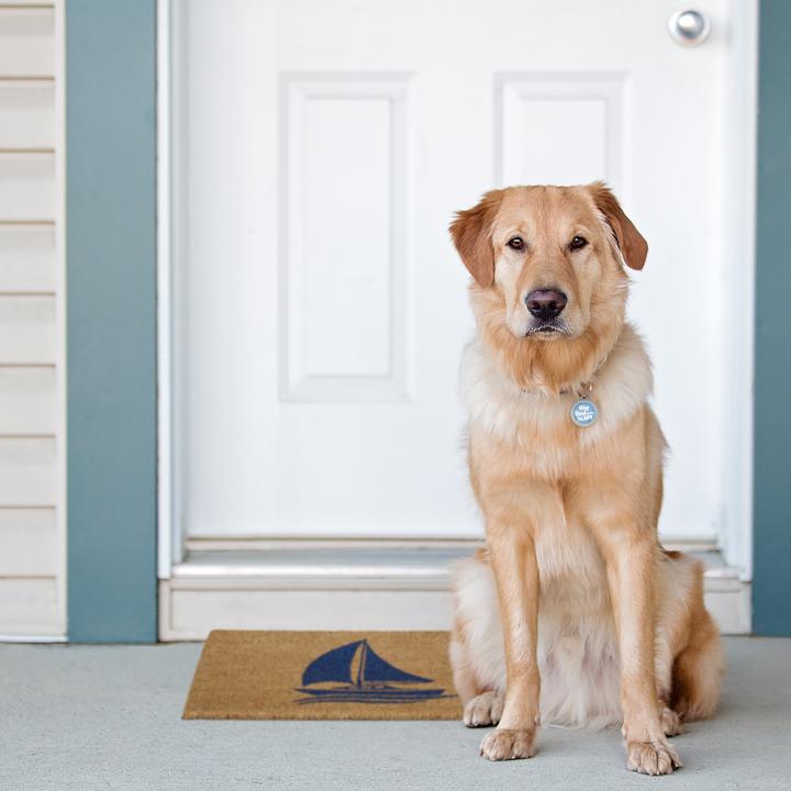 Actual product image Relaxdays Doormat (60 x 40 x 1.5 cm)