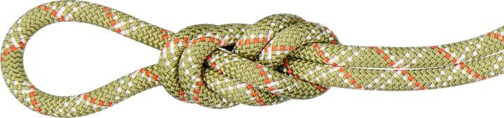 Produktbild Mammut 9.5 Gym Classic Kletterseil (50 m)