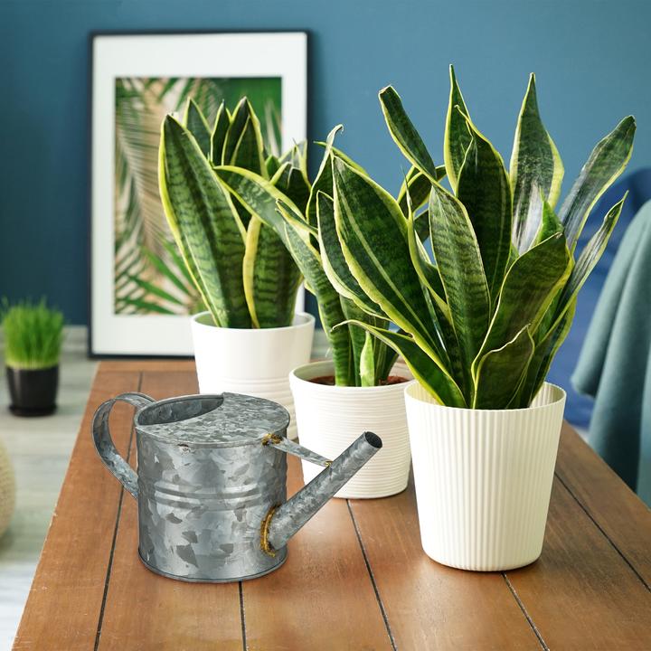 Actual product image Relaxdays Watering can (1.30 l)
