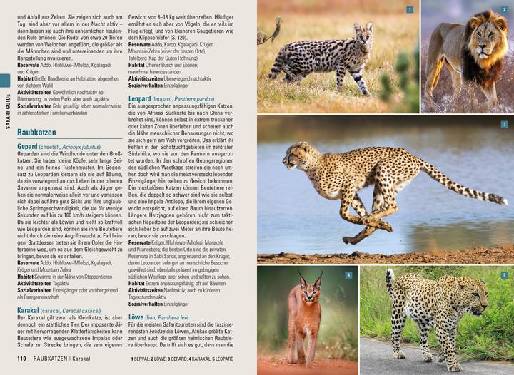 Immagine prodotto Stefan Loose Reiseführer Südafrika, Lesotho und eSwatini (Tedesco, Philip Briggs, Arianna Van Zandbergen, 2024)
