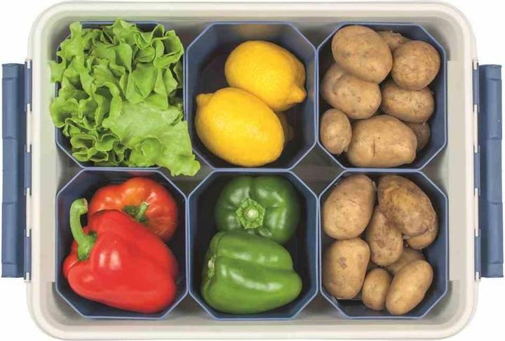 Immagine prodotto Orthex Scatola professionale (59 x 39 x 34 cm, 50 l)