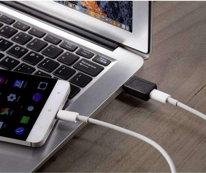Immagine prodotto Renkforce Adattatore USB 2.0 (1x USB 3.2 Gen 2 spina A? (USB 3.1) (USB 3.0, USB-C)