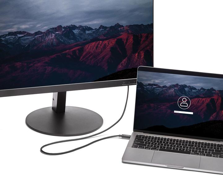 Produktbild StarTech USB Typ C — DVI (2 m, DVI)