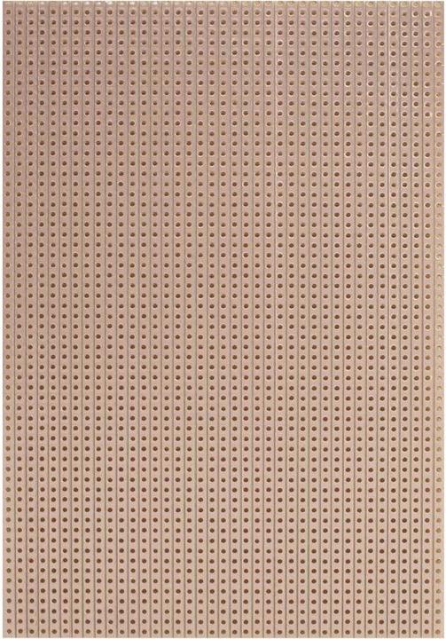 Rademacher Cartone WR in carta dura (L x L) 160 mm x 100 mm Passo 35 µm 2,54 mm WR tipo 710-5 Contenuto 1 pz. (Circuito stampato)