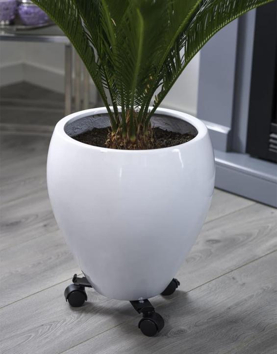 Image du produit Nature Silas